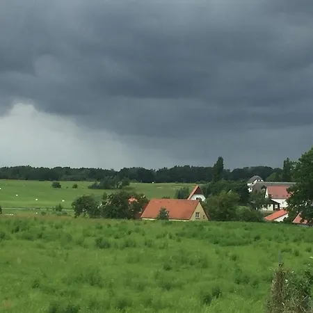 Dreamtime Fam Zimmermann Balm