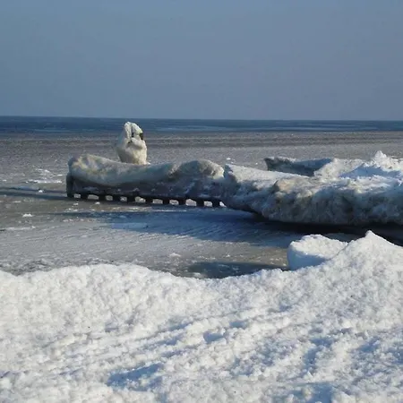 Tatil Evi Dreamtime Fam Zimmermann