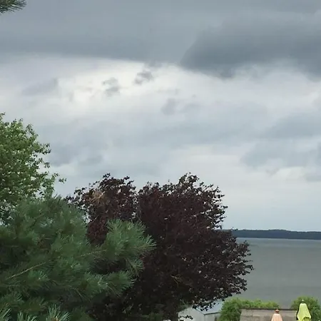 Dreamtime Fam Zimmermann