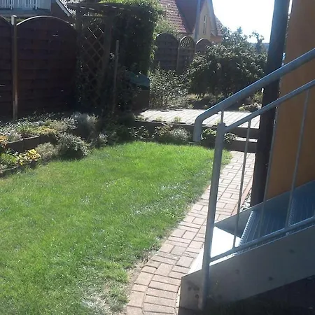 Dreamtime Fam Zimmermann *